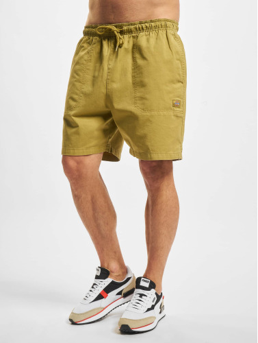 Dickies / shorts Pelican Rapids in groen