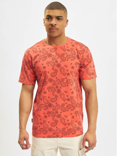 Cayler & Sons / t-shirt Cali Paiz in oranje
