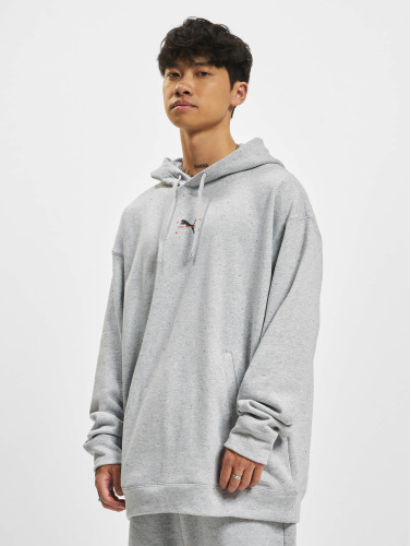 Puma / Hoody Re:Collection Graphic in grijs