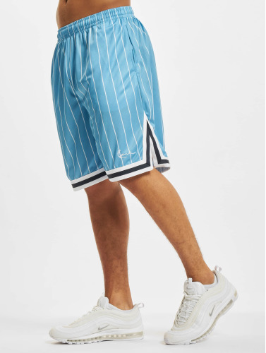 Karl Kani / shorts Small Signature Pinstripe Mesh in blauw