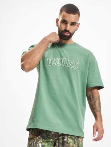 Dickies / t-shirt Union Springs SS in groen