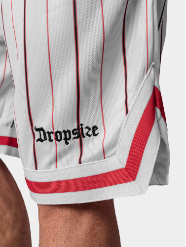 Dropsize / shorts Logo Stripe Mesh in wit