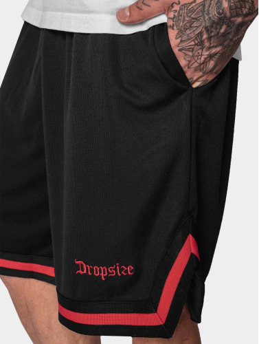 Dropsize / shorts Logo Mesh in zwart