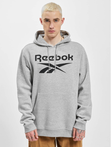 Reebok / Hoody Ri Flc Big Logo in grijs