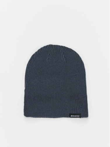 Dickies / Beanie Woodworth in blauw