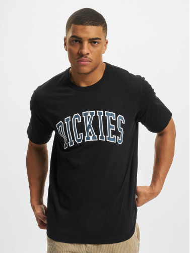 Dickies / t-shirt Aitkin in zwart