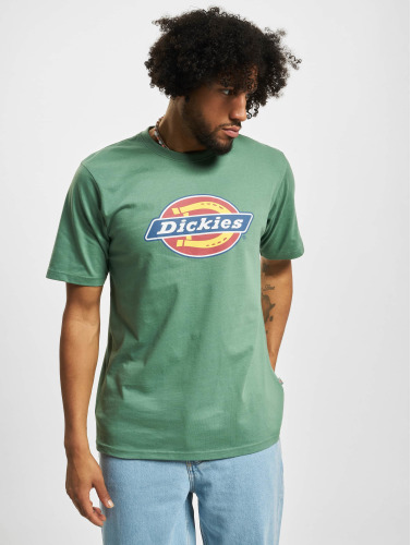 Dickies / t-shirt Icon Logo in groen