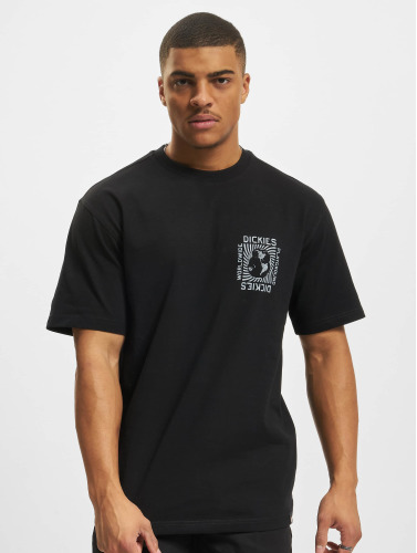 Dickies / t-shirt Marbury in zwart