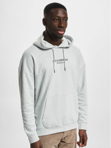 Only & Sons / Hoody Lesclassiques in grijs