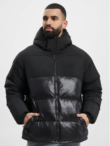 adidas Originals / Gewatteerde jassen Down Regen in zwart