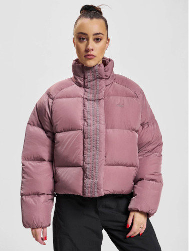 adidas Originals / Gewatteerde jassen Short Down in pink