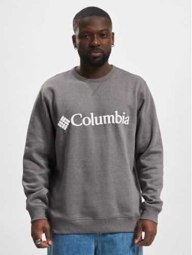 Columbia / trui Logo Fleece in grijs