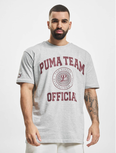 Puma / t-shirt Team Graphi in grijs