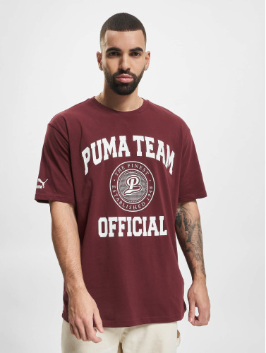 Puma / t-shirt Team Graphic in rood