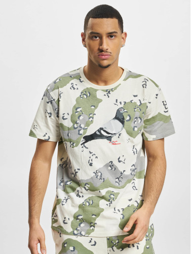 Staple / t-shirt Pigeon Logo in camouflage