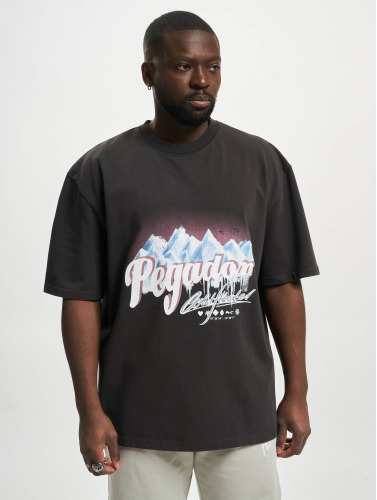 PEGADOR / t-shirt Rodney Oversized in grijs