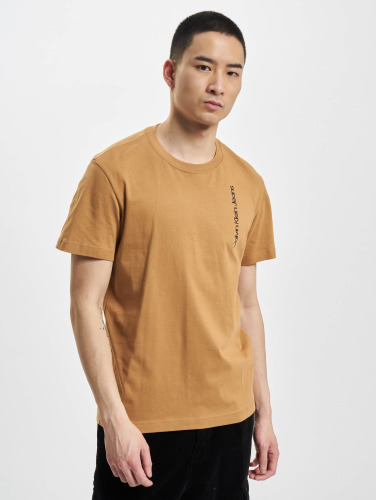 Calvin Klein / t-shirt Seasonal Institutional in bruin