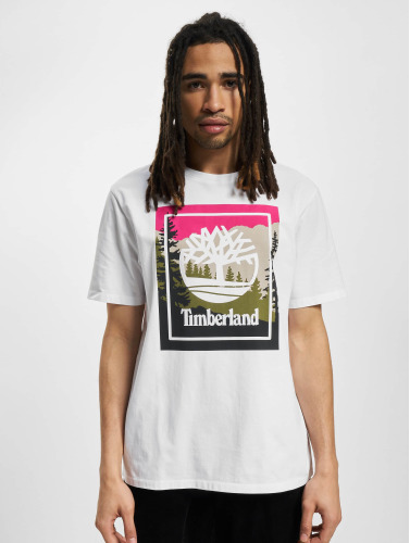 Timberland / t-shirt Outdoor Graphic in wit