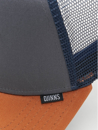 Djinns / snapback cap HFT DNC New 1.5 in grijs