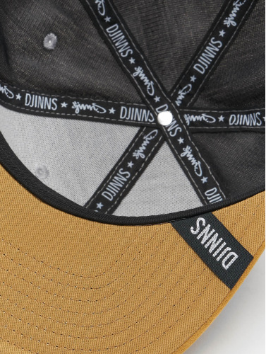 Djinns / snapback cap 6 Panel Linen 2015 in grijs