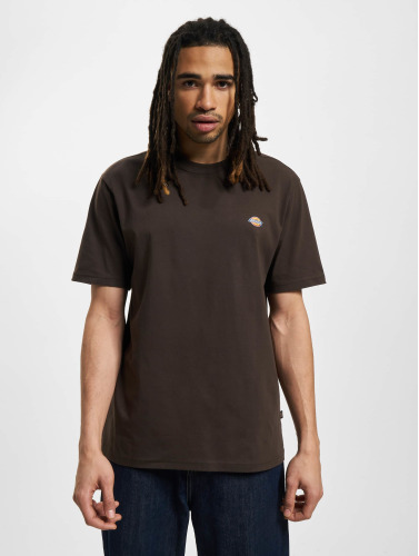 Dickies / t-shirt Mapleton in bruin