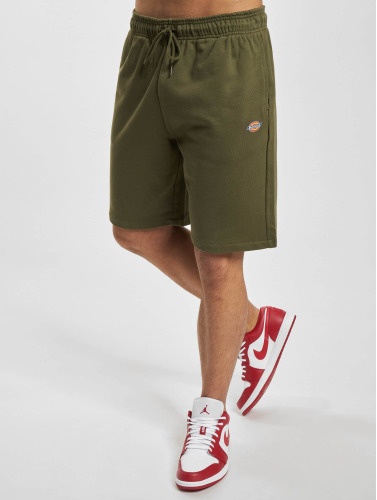 Dickies / shorts Mapleton in groen