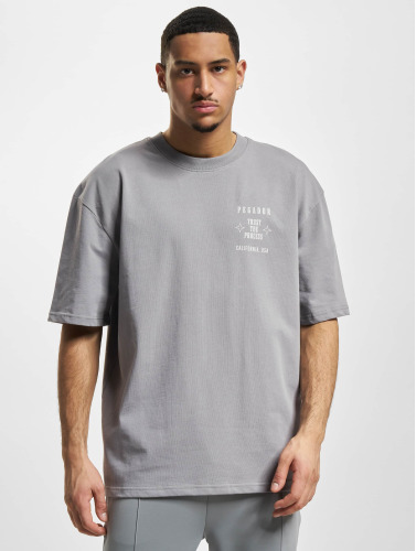 PEGADOR / t-shirt Salal Oversized in grijs
