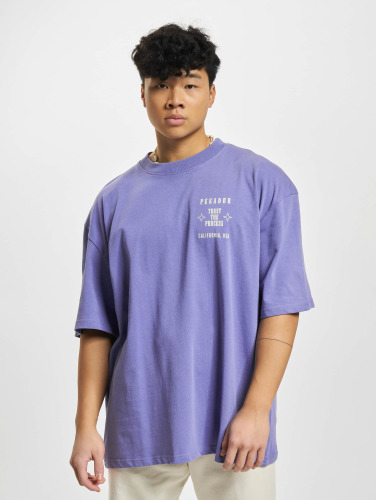 PEGADOR / t-shirt Salal Oversized in paars