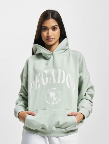 PEGADOR / Hoody Solan Oversized in groen