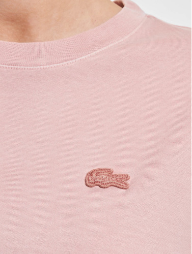 Lacoste / t-shirt Uni in pink