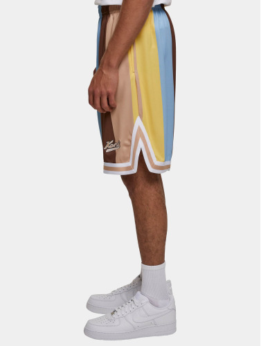 Karl Kani / shorts Varsity Striped Mesh in blauw