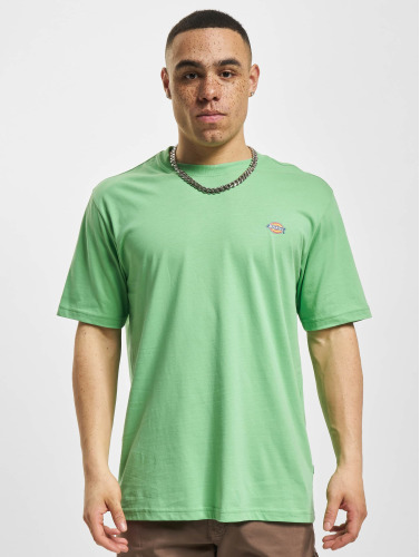 Dickies / t-shirt Mapleton in groen