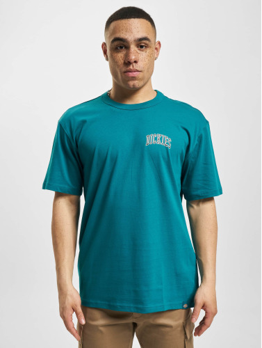 Dickies / t-shirt Aitkin Chest in turquois