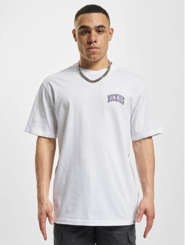 Dickies / t-shirt Aitkin Chest in wit
