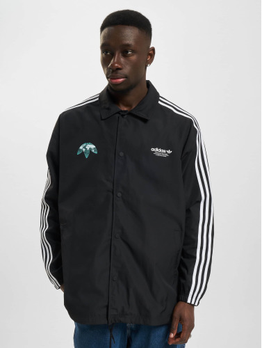 adidas Originals / Zomerjas United Basketball Coach in zwart