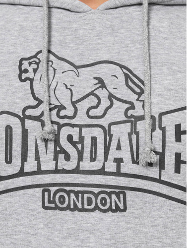 Lonsdale London / Hoody Fochabers in grijs