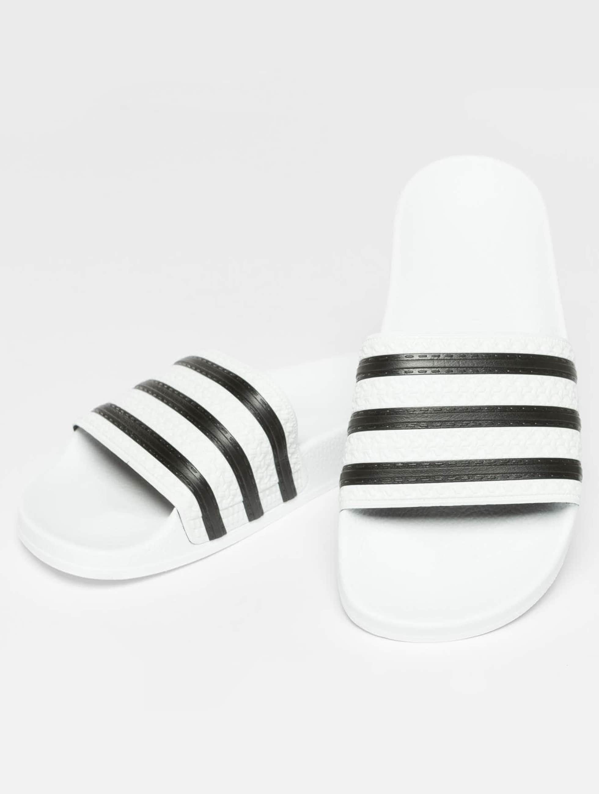 sandale adidas blanche