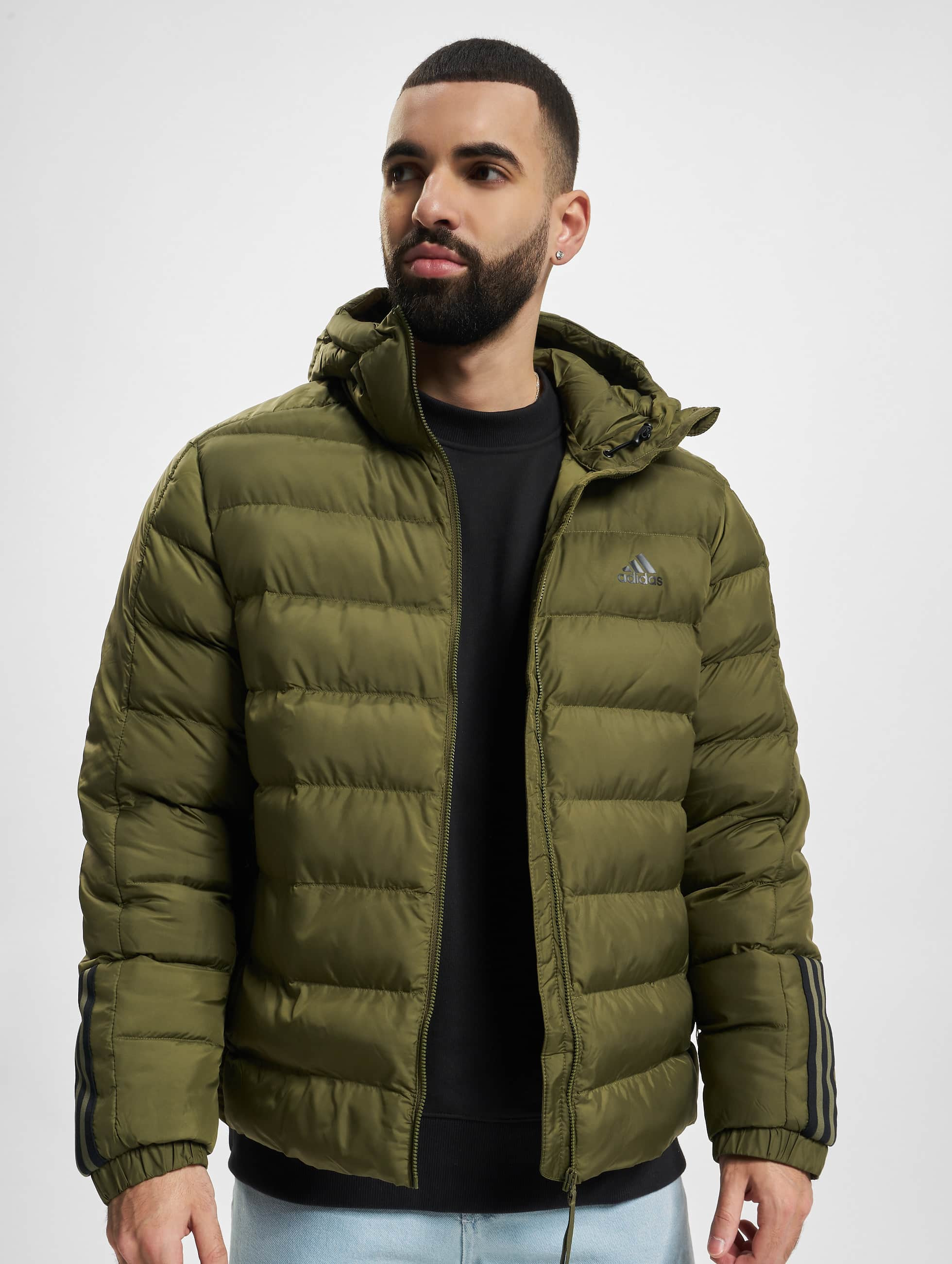 fluweel Zijdelings Pracht adidas Originals jas / Gewatteerde jassen Itavic in groen 934520