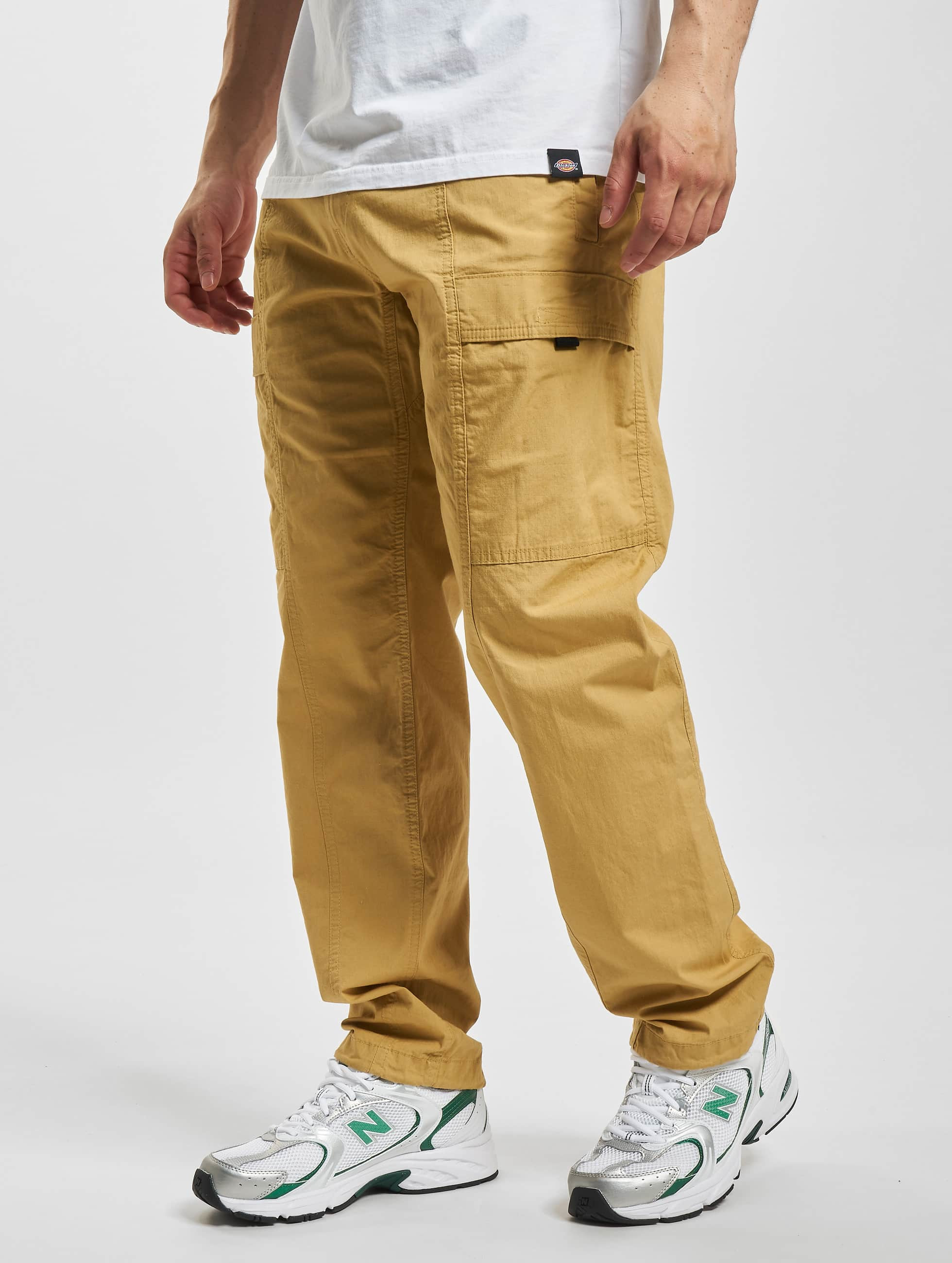 Top 61+ north face cargo trousers - in.cdgdbentre