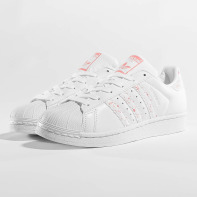 adidas schoen / sneaker Superstar W in wit