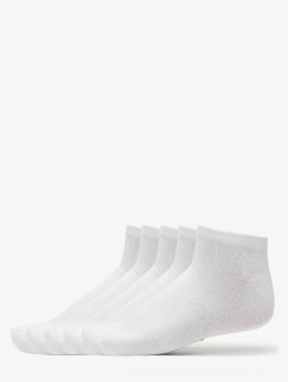   5-Pack Logo No Show Socks White
