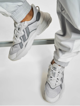 adidas Originals Sneaker Ozweego  grigio