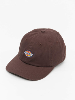 Dickies Snapback Caps Hardwick  ruskea