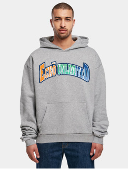 Ecko Unltd. Hoodie Gradient grey