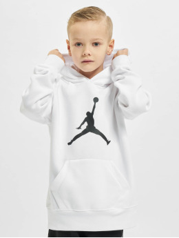 sweat capuche jordan gris