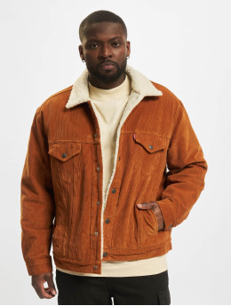 Levi's® Transitional Jackets Transition  brun