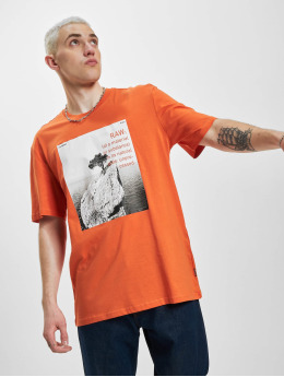 Only & Sons T-Shirt Paul Photoprint orange