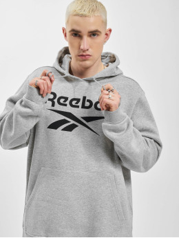Reebok Hoody Ri Flc Big Logo grau