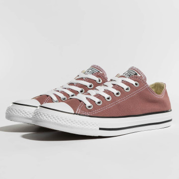 maglietta converse donna marroni