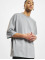 2Y Premium T-Shirt Levi  grey